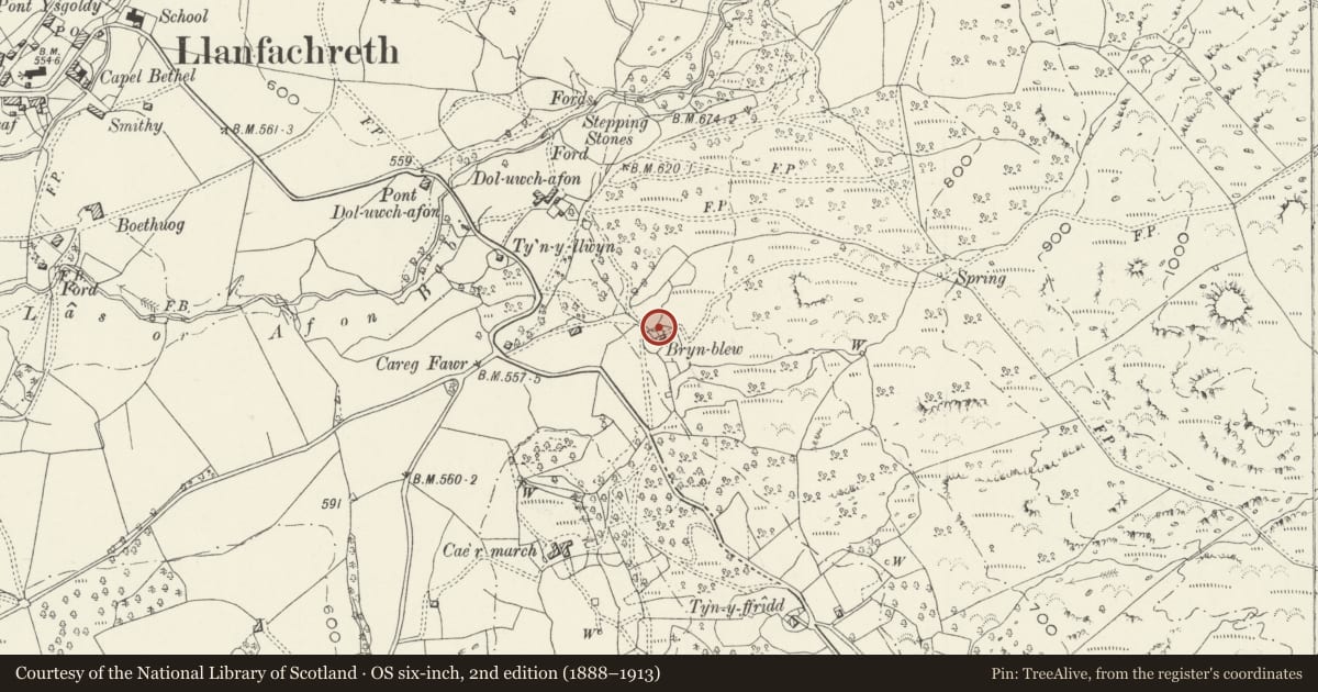 Ordnance Survey six-inch map, 2nd edition (1888–1913) covering the location of Bryn Blew, Brithdir and Llanfachreth, Gwynedd, with a pin at the register's coordinates