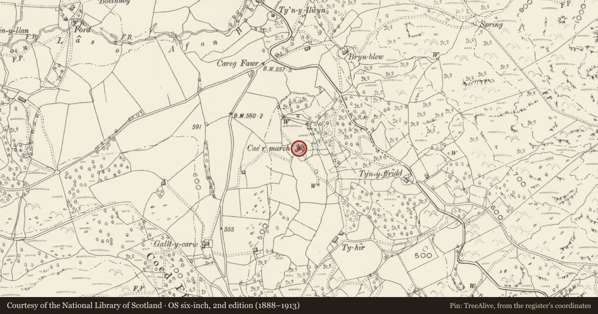 Ordnance Survey six-inch map, 2nd edition (1888–1913) covering the location of Barn at Cae'r March, Brithdir and Llanfachreth, Gwynedd, with a pin at the register's coordinates