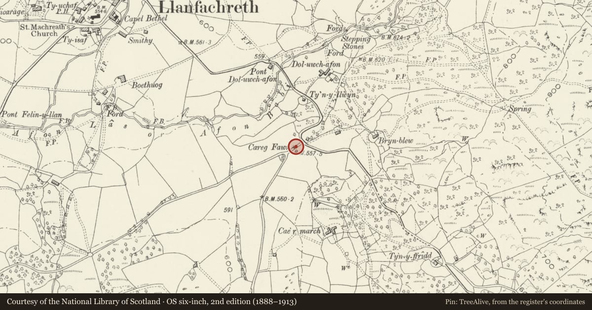 Ordnance Survey six-inch map, 2nd edition (1888–1913) covering the location of Careg Fawr (Arch), Brithdir and Llanfachreth, Gwynedd, with a pin at the register's coordinates