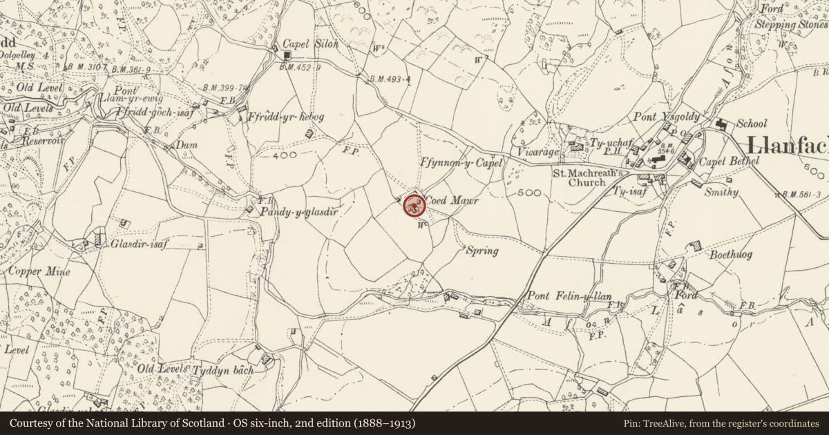 Ordnance Survey six-inch map, 2nd edition (1888–1913) covering the location of Coed Mawr Farmhouse, Brithdir and Llanfachreth, Gwynedd, with a pin at the register's coordinates