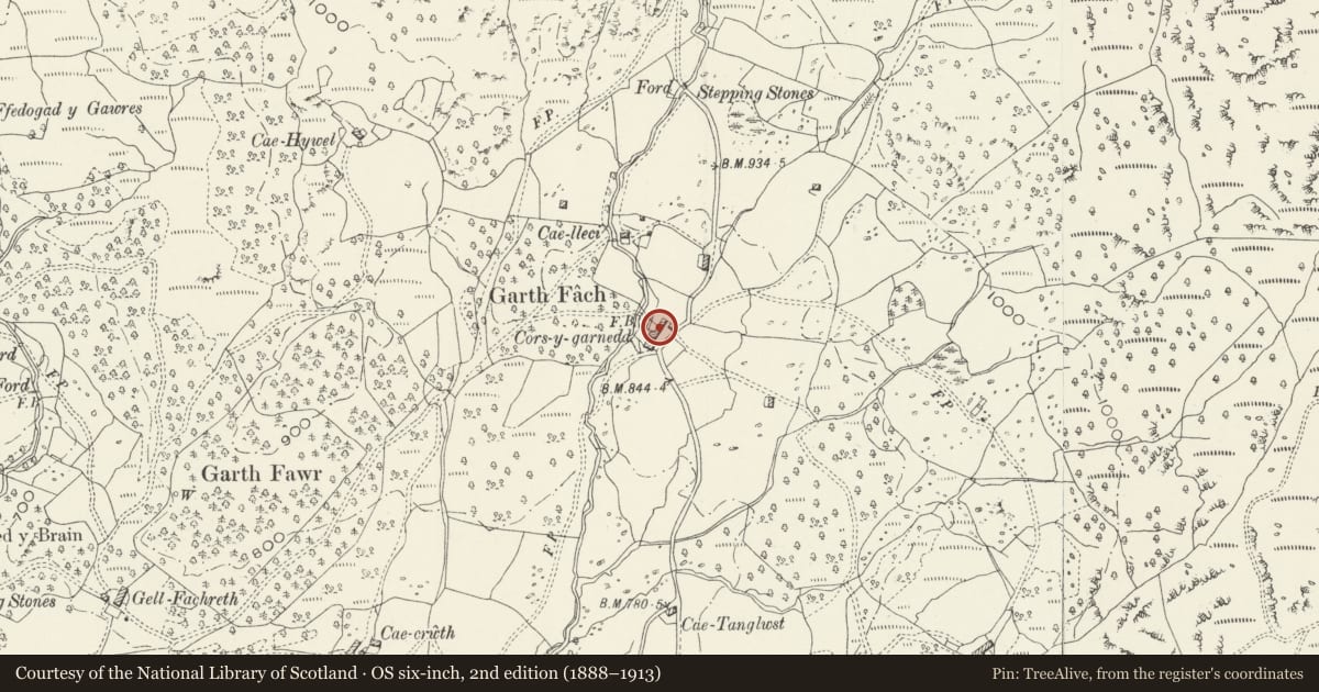 Ordnance Survey six-inch map, 2nd edition (1888–1913) covering the location of Cors-y-Garnedd, Brithdir and Llanfachreth, Gwynedd, with a pin at the register's coordinates