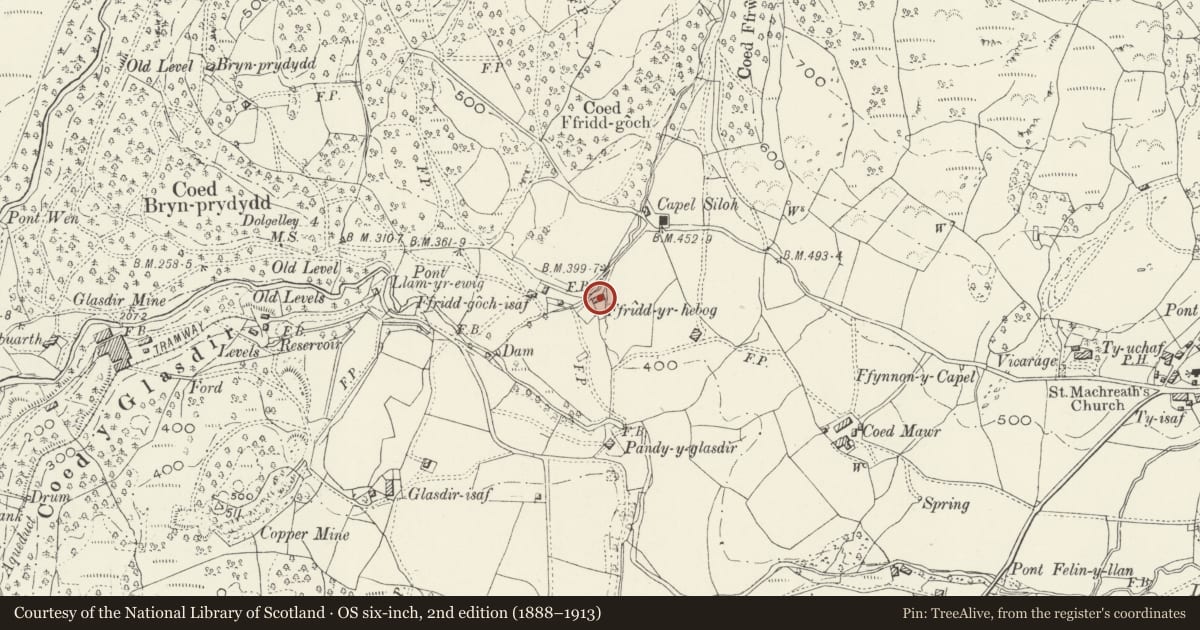 Ordnance Survey six-inch map, 2nd edition (1888–1913) covering the location of Ffrwd-yr-Hebog, Brithdir and Llanfachreth, Gwynedd, with a pin at the register's coordinates