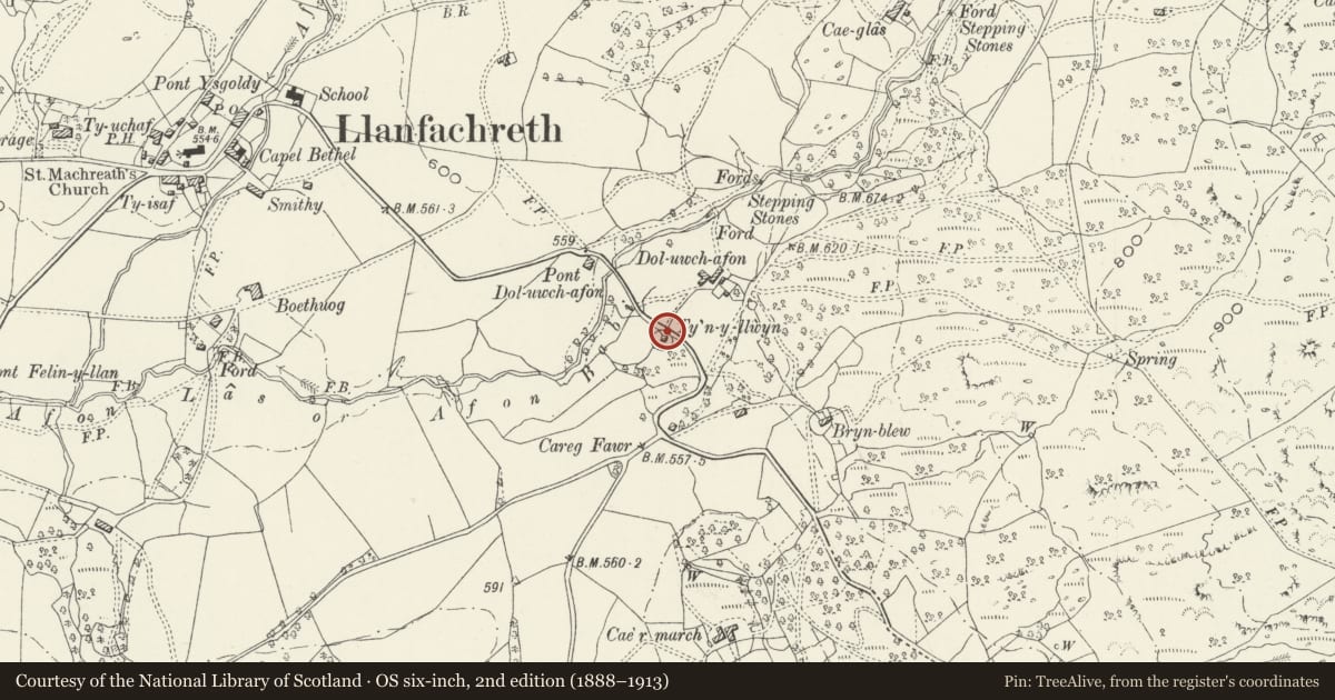 Ordnance Survey six-inch map, 2nd edition (1888–1913) covering the location of Ty'n-y-Llwyn, Brithdir and Llanfachreth, Gwynedd, with a pin at the register's coordinates
