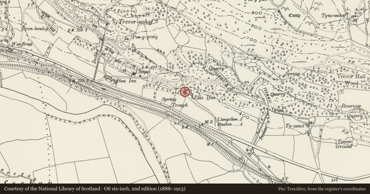 Ordnance Survey six-inch map, 2nd edition (1888–1913) covering the location of Plas Ifa, Llangollen, Denbighshire, with a pin at the register's coordinates