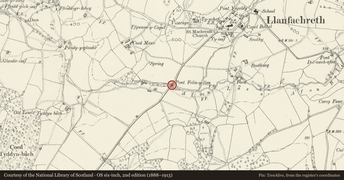 Ordnance Survey six-inch map, 2nd edition (1888–1913) covering the location of Pont Felin-y-Llan, Brithdir and Llanfachreth, Gwynedd, with a pin at the register's coordinates