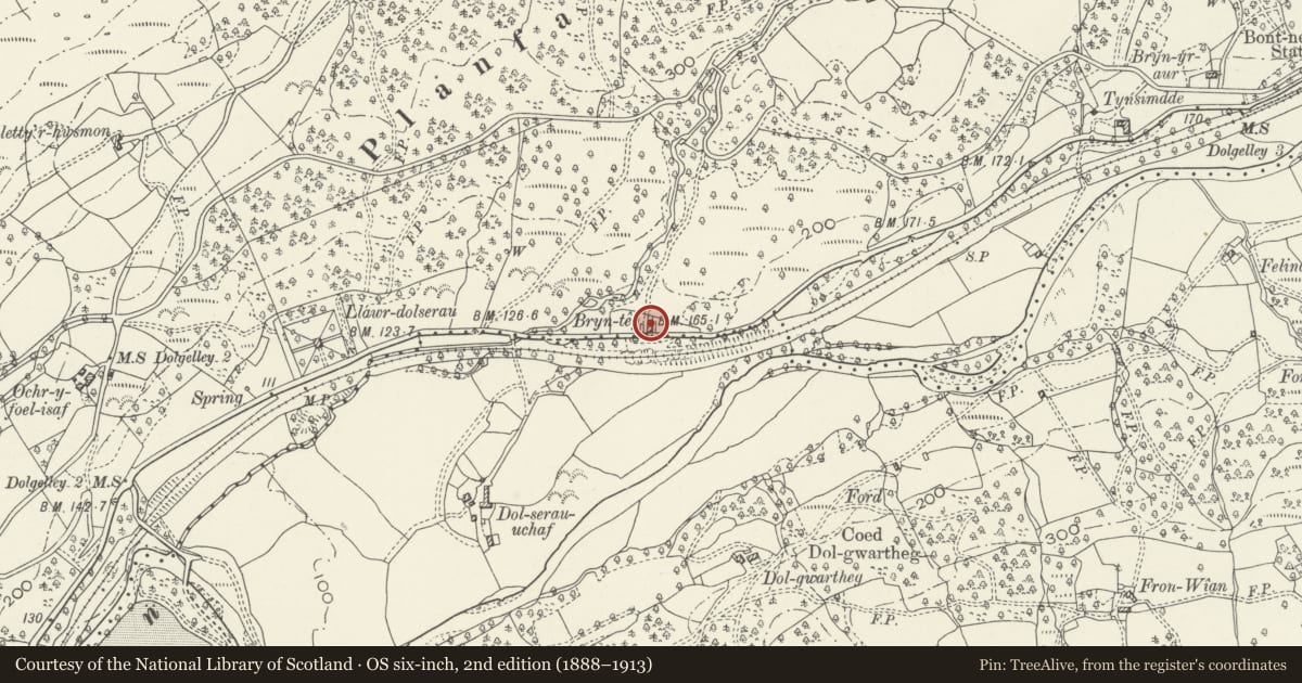 Ordnance Survey six-inch map, 2nd edition (1888–1913) covering the location of Bryn Teg, Brithdir and Llanfachreth, Gwynedd, with a pin at the register's coordinates