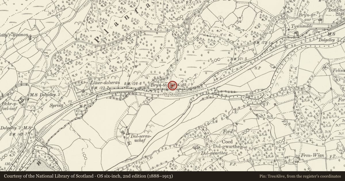 Ordnance Survey six-inch map, 2nd edition (1888–1913) covering the location of Bryn Teg, Brithdir and Llanfachreth, Gwynedd, with a pin at the register's coordinates