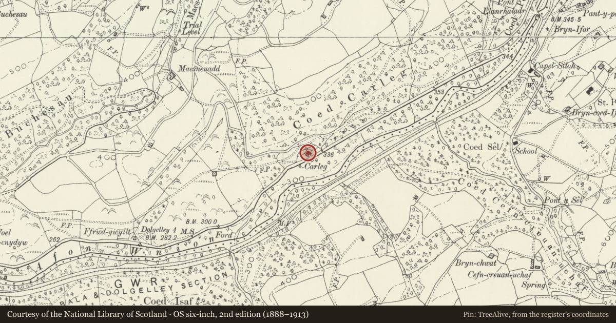 Ordnance Survey six-inch map, 2nd edition (1888–1913) covering the location of Carleg, Brithdir and Llanfachreth, Gwynedd, with a pin at the register's coordinates