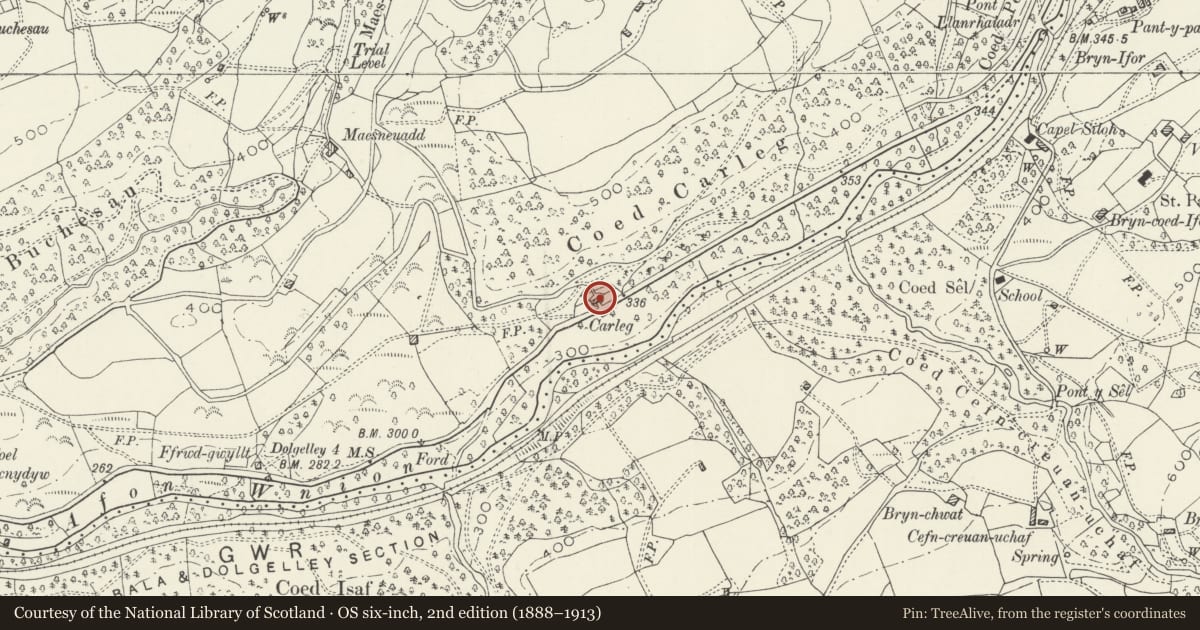 Ordnance Survey six-inch map, 2nd edition (1888–1913) covering the location of Carleg, Brithdir and Llanfachreth, Gwynedd, with a pin at the register's coordinates