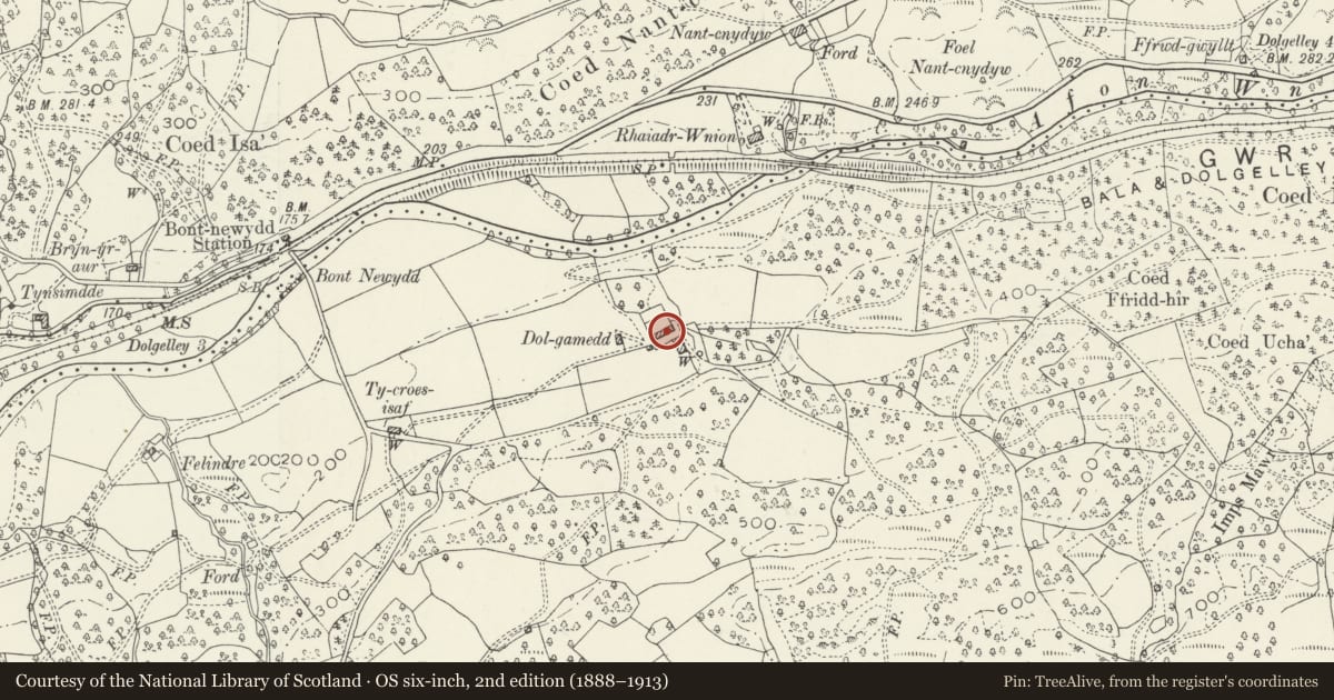 Ordnance Survey six-inch map, 2nd edition (1888–1913) covering the location of Dol-Ganedd, Brithdir and Llanfachreth, Gwynedd, with a pin at the register's coordinates
