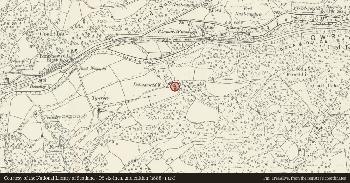 Ordnance Survey six-inch map, 2nd edition (1888–1913) covering the location of Barn Range to the SE of Dol-Gamedd, Brithdir and Llanfachreth, Gwynedd, with a pin at the register's coordinates