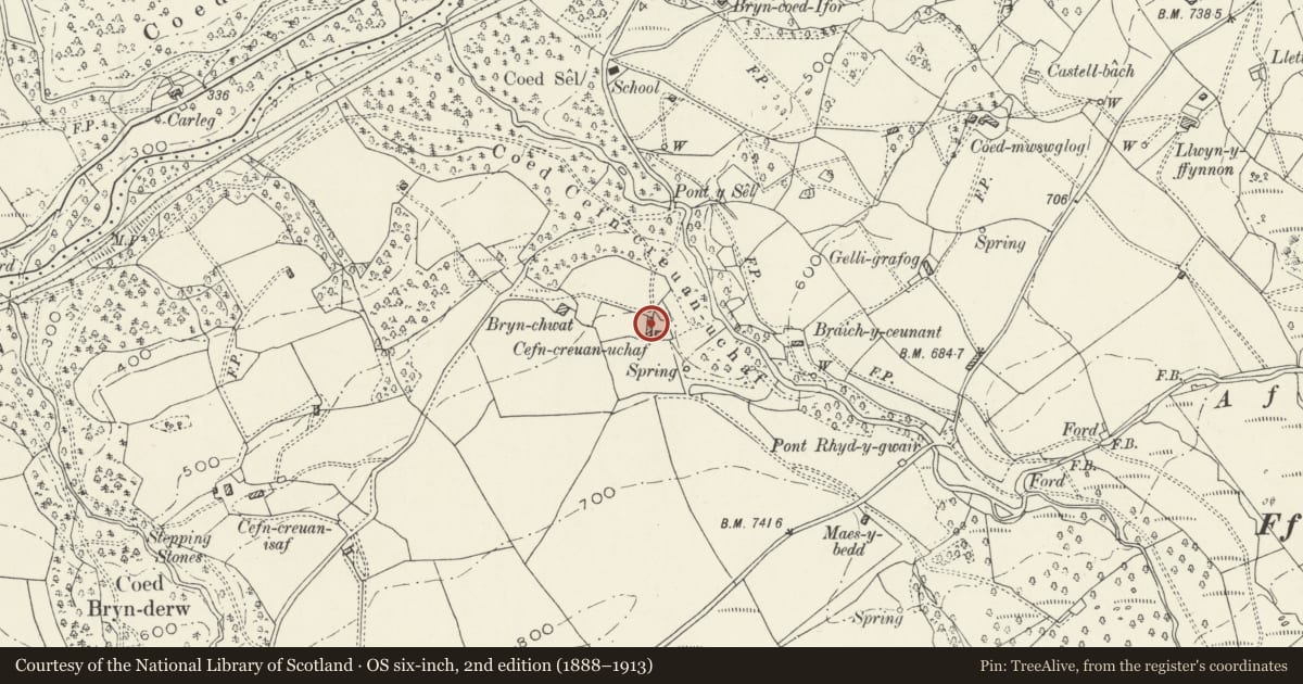 Ordnance Survey six-inch map, 2nd edition (1888–1913) covering the location of Former Farmhouse at Cefn-Creuan-Uchaf, Brithdir and Llanfachreth, Gwynedd, with a pin at the register's coordinates