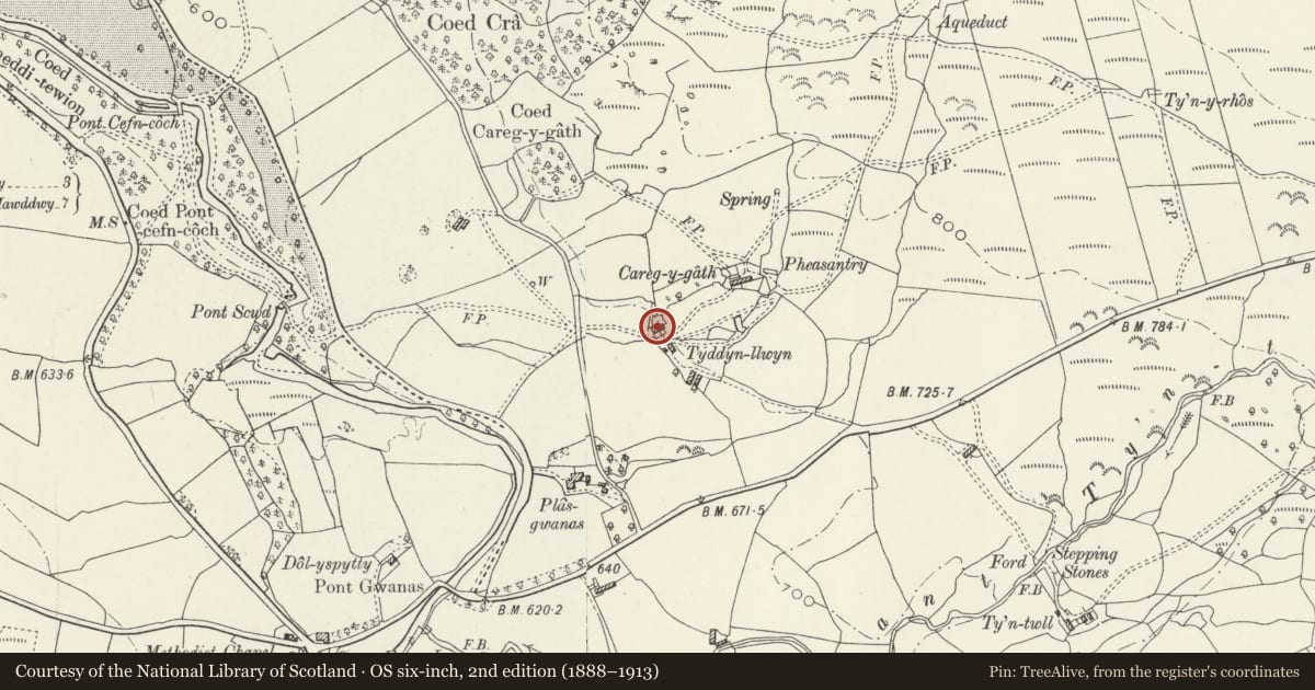 Ordnance Survey six-inch map, 2nd edition (1888–1913) covering the location of Tyddyn Llwyn Farmhouse, Brithdir and Llanfachreth, Gwynedd, with a pin at the register's coordinates