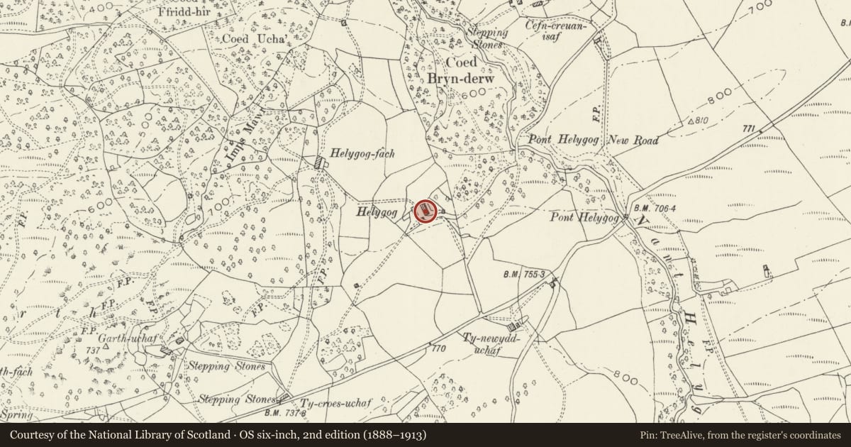 Ordnance Survey six-inch map, 2nd edition (1888–1913) covering the location of Helygog, Brithdir and Llanfachreth, Gwynedd, with a pin at the register's coordinates