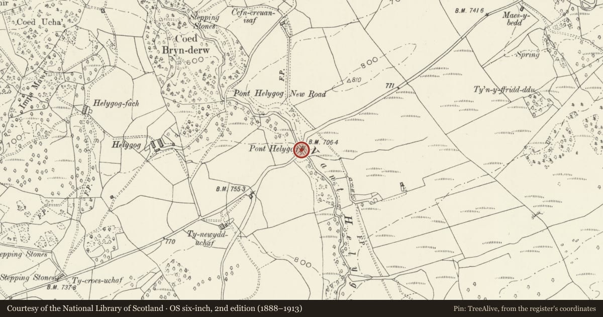 Ordnance Survey six-inch map, 2nd edition (1888–1913) covering the location of Pont Helygog, Brithdir and Llanfachreth, Gwynedd, with a pin at the register's coordinates