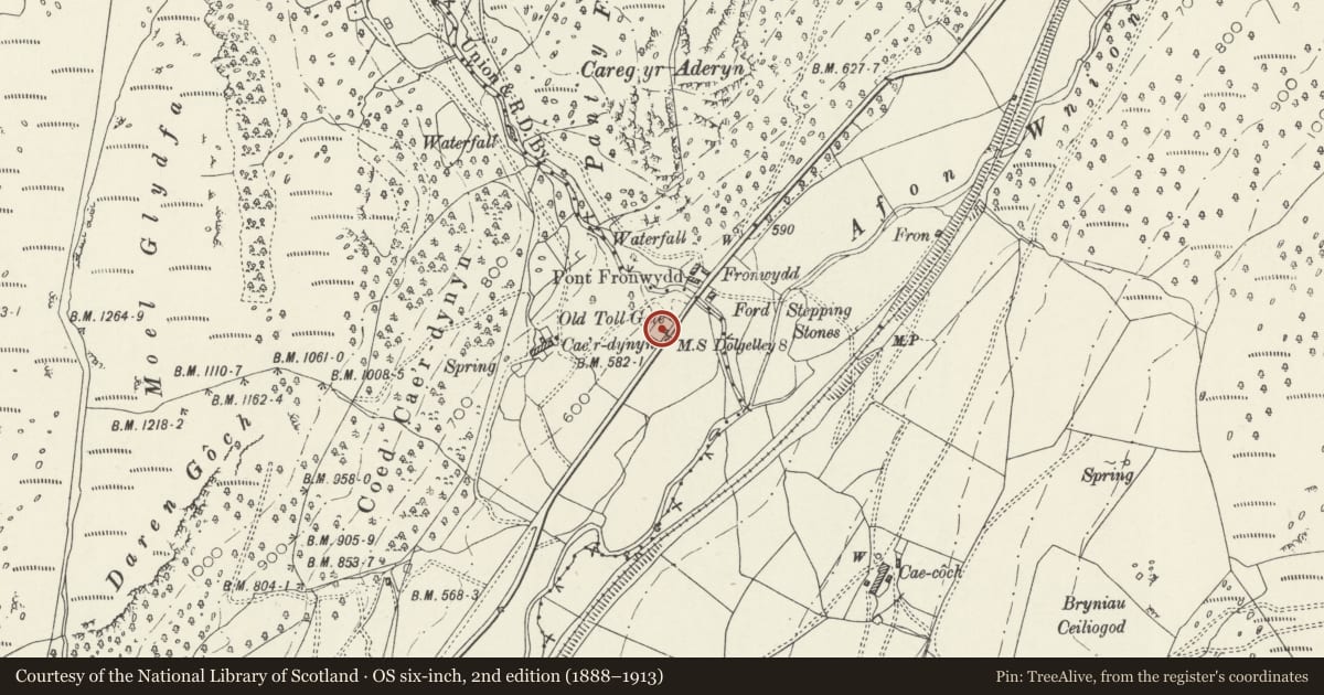 Ordnance Survey six-inch map, 2nd edition (1888–1913) covering the location of Y Bwthyn, Brithdir and Llanfachreth, Gwynedd, with a pin at the register's coordinates