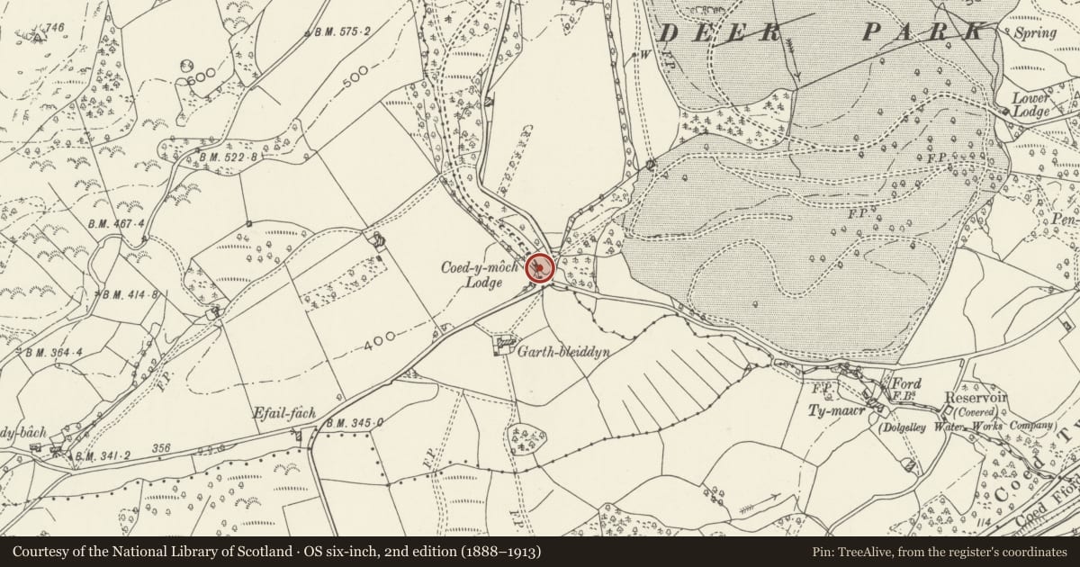 Ordnance Survey six-inch map, 2nd edition (1888–1913) covering the location of Coed-y-Moch Lodge, Brithdir and Llanfachreth, Gwynedd, with a pin at the register's coordinates