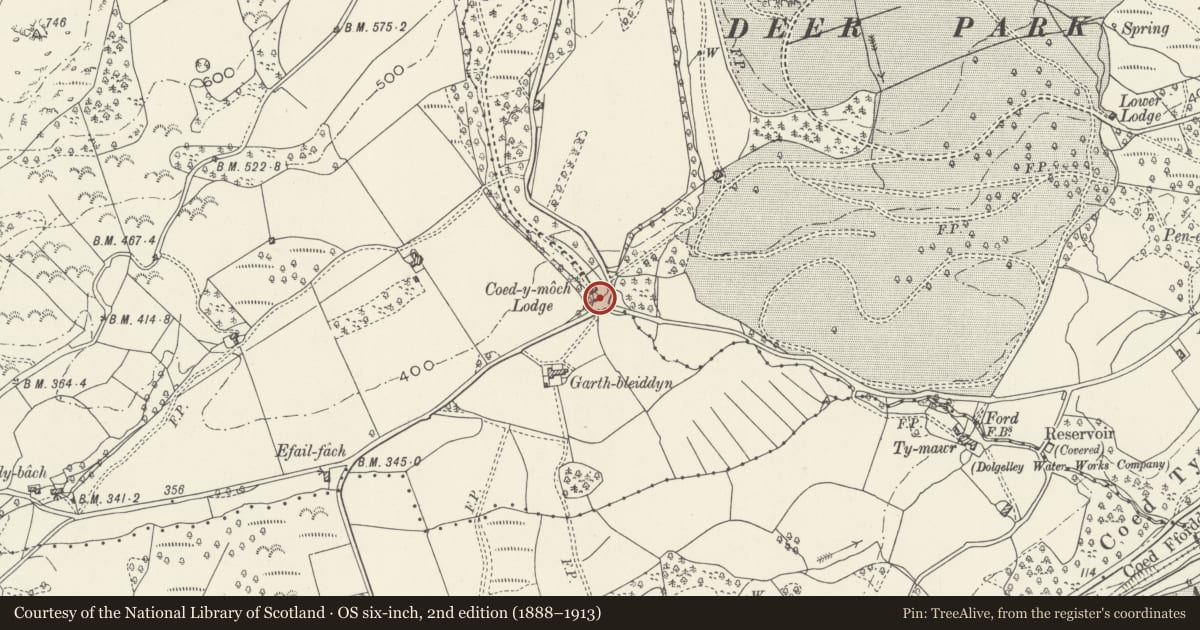 Ordnance Survey six-inch map, 2nd edition (1888–1913) covering the location of Curved forecourt Walls to Coed-y-Moch, Brithdir and Llanfachreth, Gwynedd, with a pin at the register's coordinates
