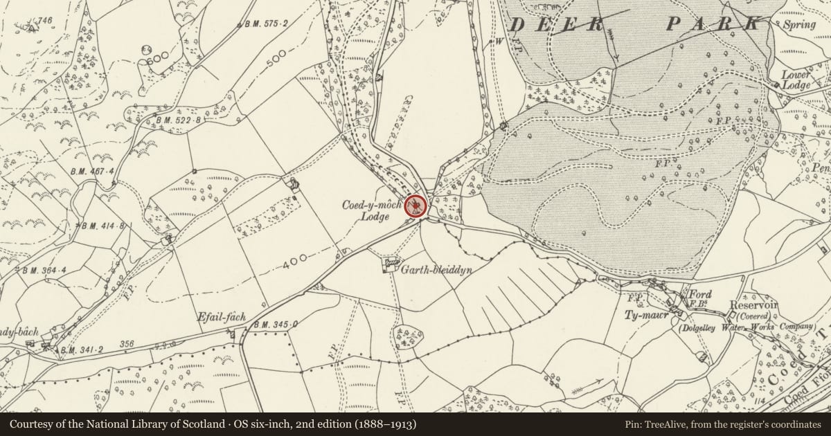 Ordnance Survey six-inch map, 2nd edition (1888–1913) covering the location of Decorative Gate including Railings and Gatepiers opposite Coed-y-Moch Lodge, Brithdir and Llanfachreth, Gwynedd, with a pin at the register's coordinates