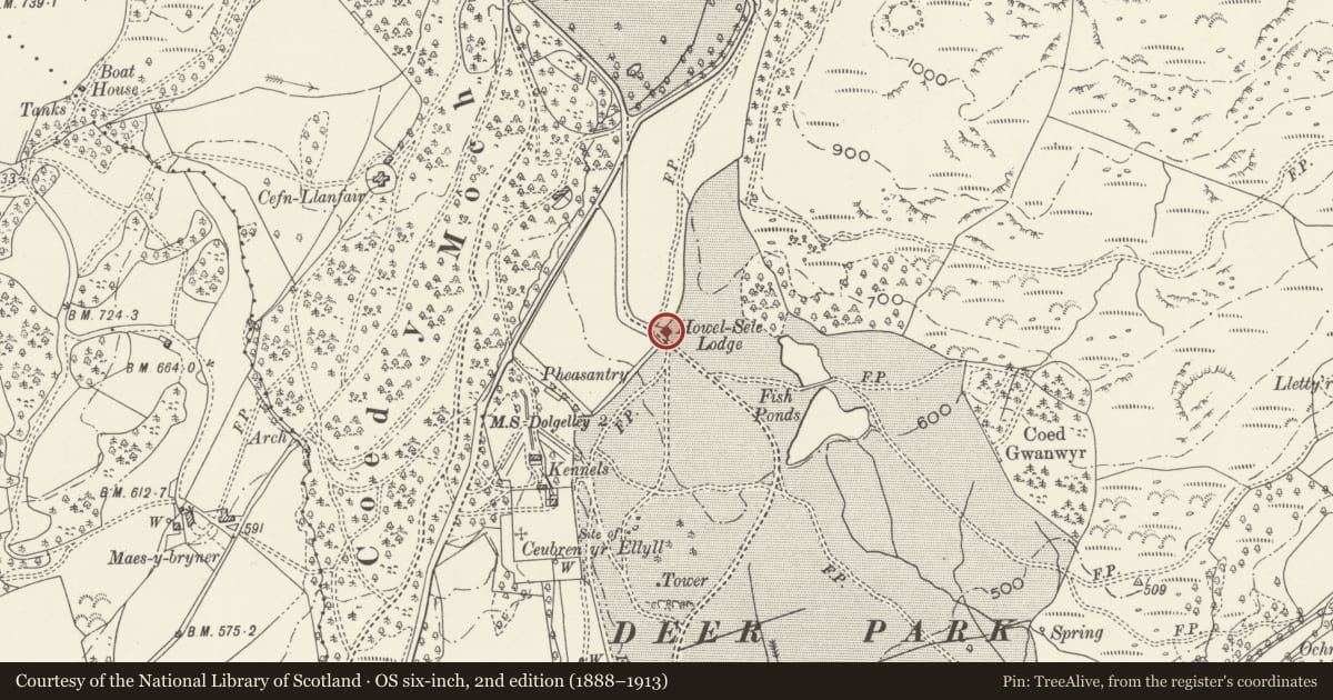Ordnance Survey six-inch map, 2nd edition (1888–1913) covering the location of Howel-Sele Lodge, Brithdir and Llanfachreth, Gwynedd, with a pin at the register's coordinates