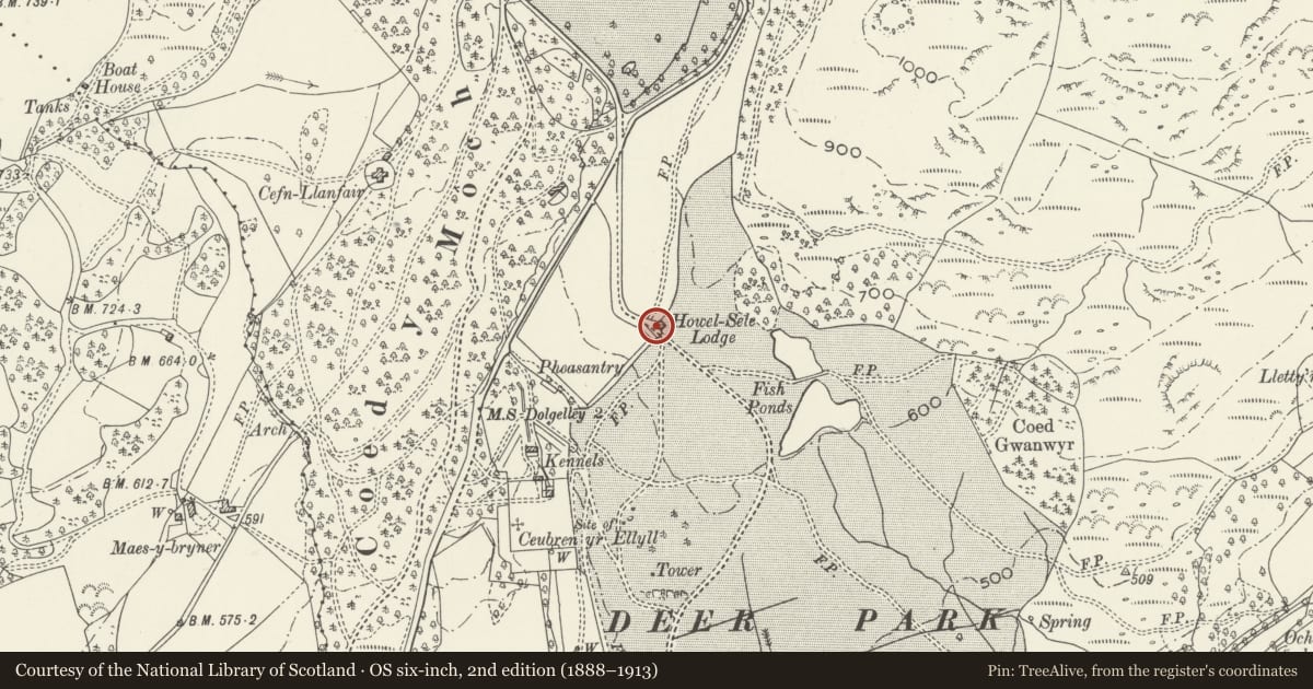 Ordnance Survey six-inch map, 2nd edition (1888–1913) covering the location of Adjoining Arched Gateway to Howel-Sele Lodge, Brithdir and Llanfachreth, Gwynedd, with a pin at the register's coordinates