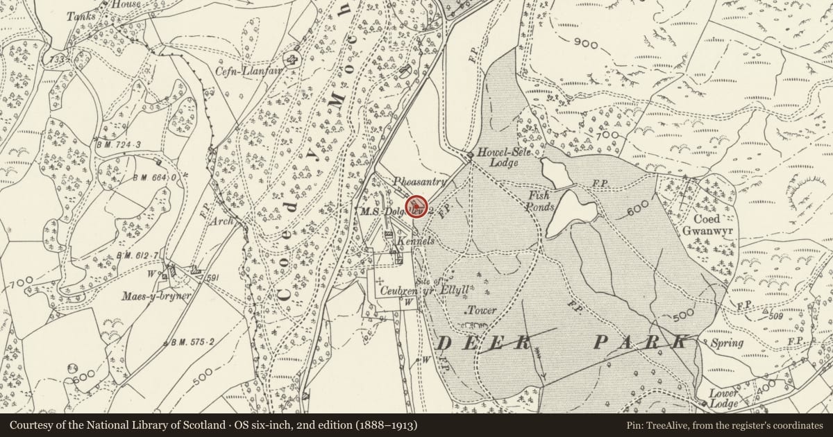 Ordnance Survey six-inch map, 2nd edition (1888–1913) covering the location of Arch to the SW of the Howel-Sele Lodge, Brithdir and Llanfachreth, Gwynedd, with a pin at the register's coordinates