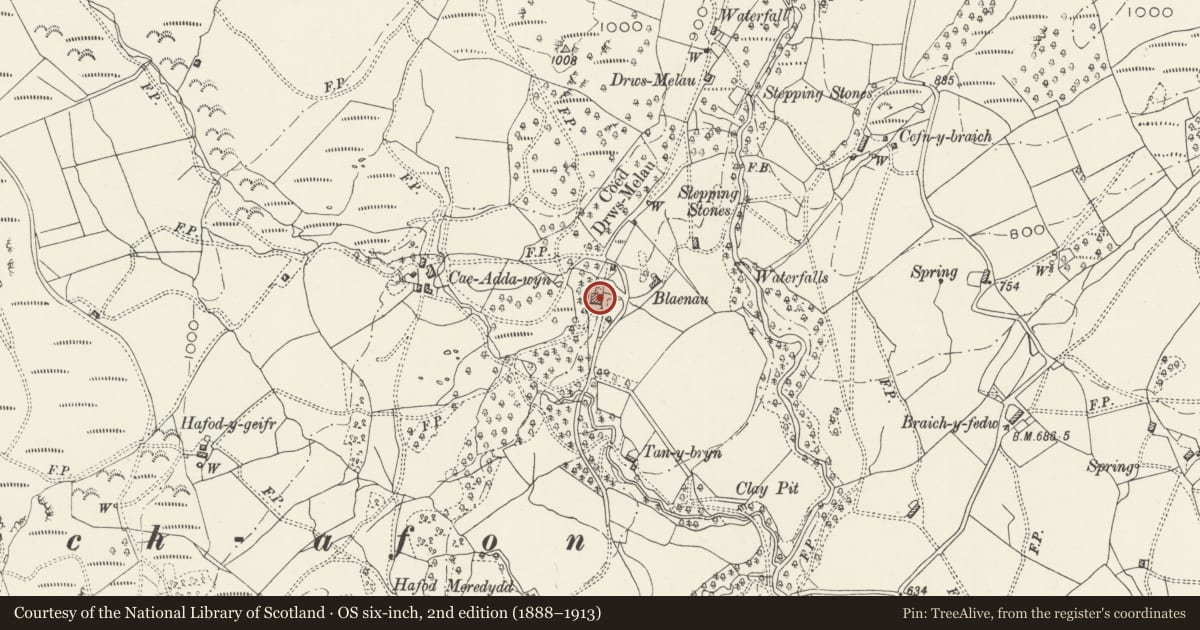 Ordnance Survey six-inch map, 2nd edition (1888–1913) covering the location of Blaenau, Brithdir and Llanfachreth, Gwynedd, with a pin at the register's coordinates