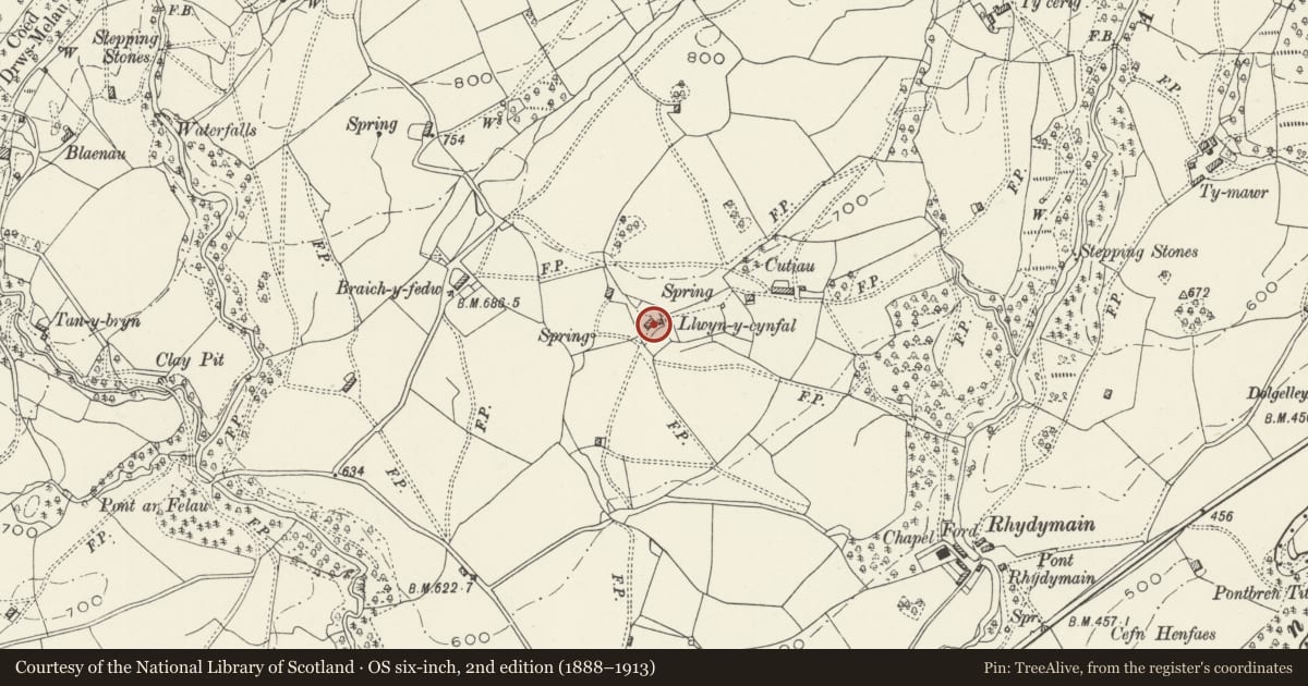 Ordnance Survey six-inch map, 2nd edition (1888–1913) covering the location of Llwyn-y-Cynfal, Brithdir and Llanfachreth, Gwynedd, with a pin at the register's coordinates