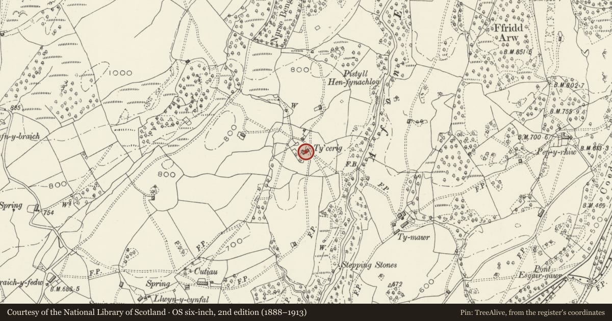 Ordnance Survey six-inch map, 2nd edition (1888–1913) covering the location of Ty-Cerig Blaenau, Brithdir and Llanfachreth, Gwynedd, with a pin at the register's coordinates