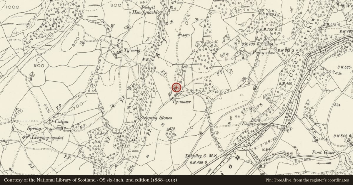 Ordnance Survey six-inch map, 2nd edition (1888–1913) covering the location of Barn at Ty Mawr including attached Water-Wheel, Brithdir and Llanfachreth, Gwynedd, with a pin at the register's coordinates