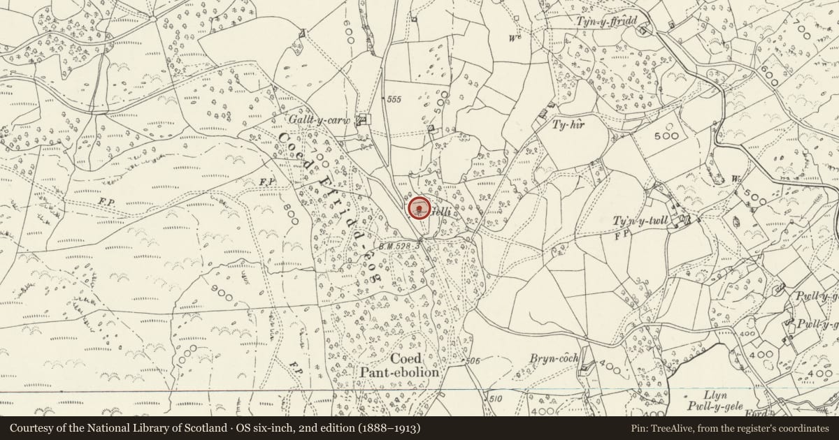 Ordnance Survey six-inch map, 2nd edition (1888–1913) covering the location of Gelli, Brithdir and Llanfachreth, Gwynedd, with a pin at the register's coordinates