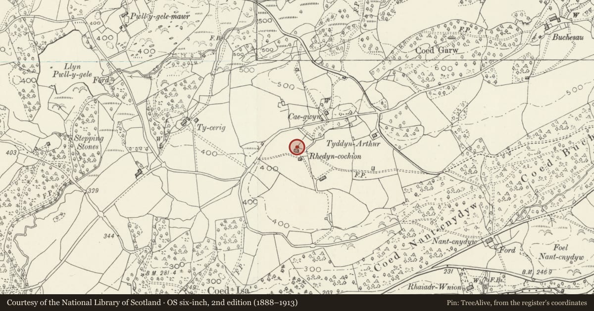 Ordnance Survey six-inch map, 2nd edition (1888–1913) covering the location of Former House at Rhedyn Cochion (also known as Ffranc)., Brithdir and Llanfachreth, Gwynedd, with a pin at the register's coordinates