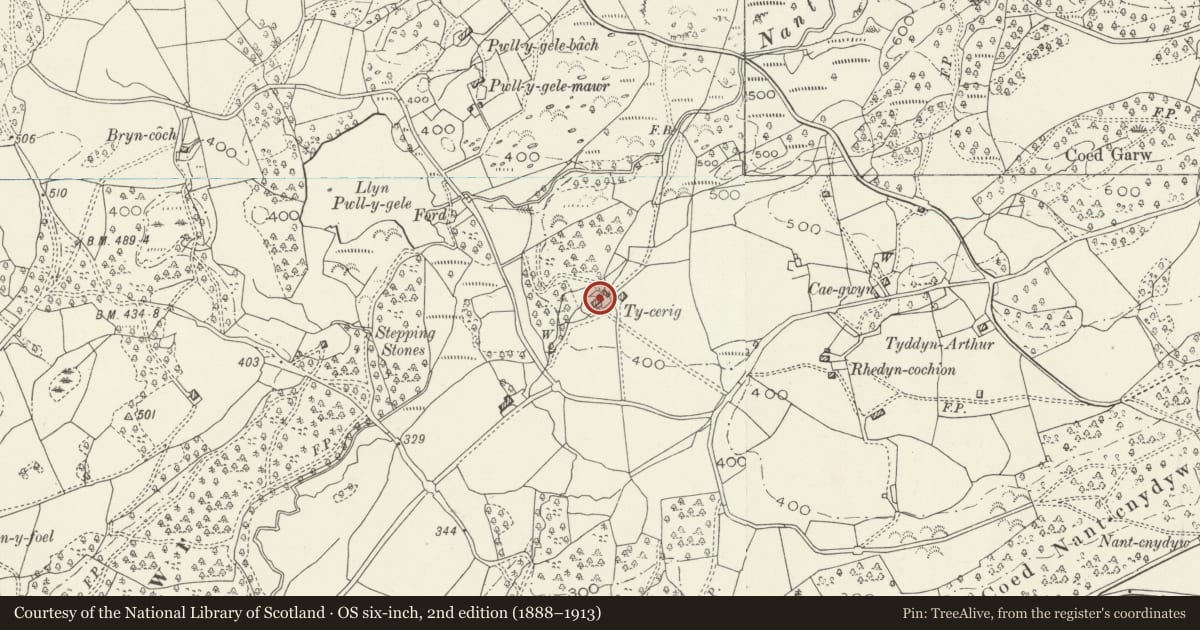 Ordnance Survey six-inch map, 2nd edition (1888–1913) covering the location of Ty Cerrig, Brithdir and Llanfachreth, Gwynedd, with a pin at the register's coordinates