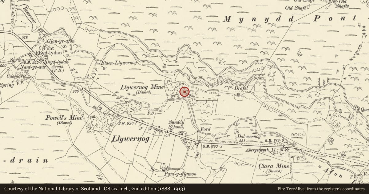 Ordnance Survey six-inch map, 2nd edition (1888–1913) covering the location of Ore dressing shed and ore-bin at Llywernog Mine, Blaenrheidol, Ceredigion, with a pin at the register's coordinates