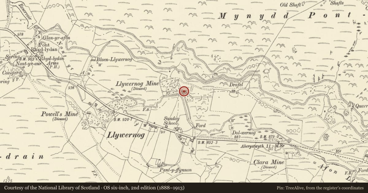 Ordnance Survey six-inch map, 2nd edition (1888–1913) covering the location of Mine offices at Llywernog Mine, Blaenrheidol, Ceredigion, with a pin at the register's coordinates
