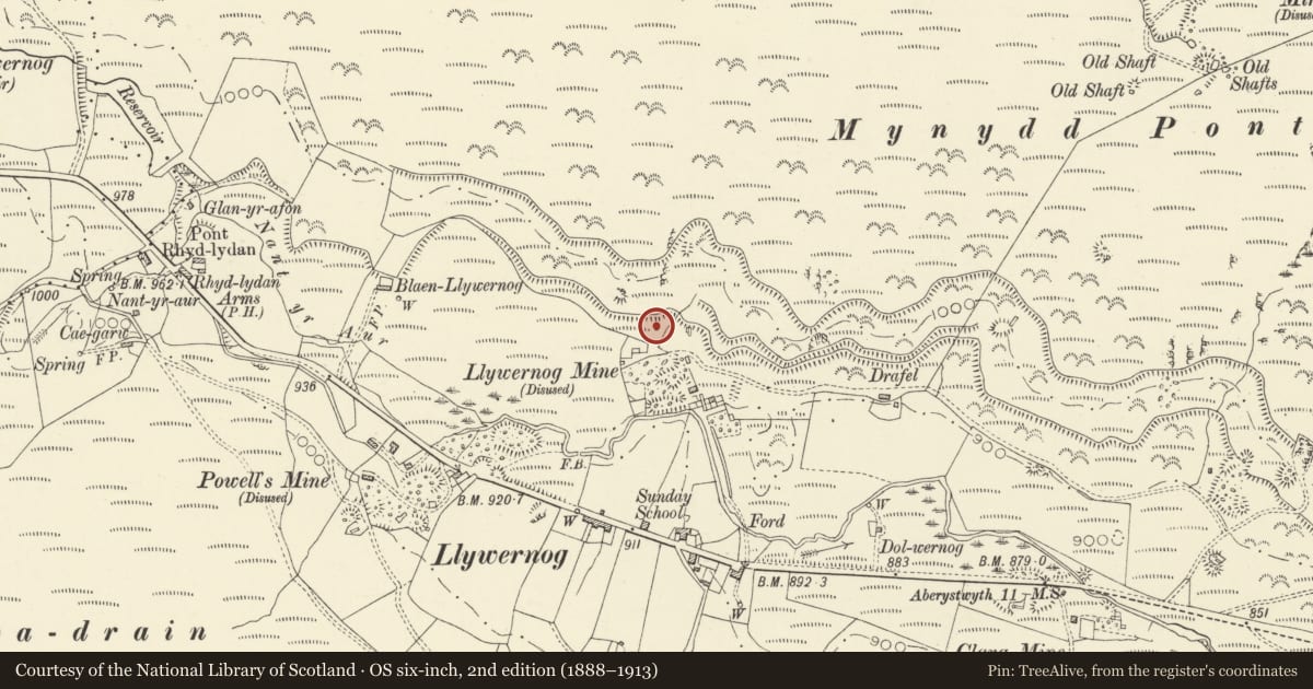 Ordnance Survey six-inch map, 2nd edition (1888–1913) covering the location of Gunpowder magazine at Llywernog Mine, Blaenrheidol, Ceredigion, with a pin at the register's coordinates