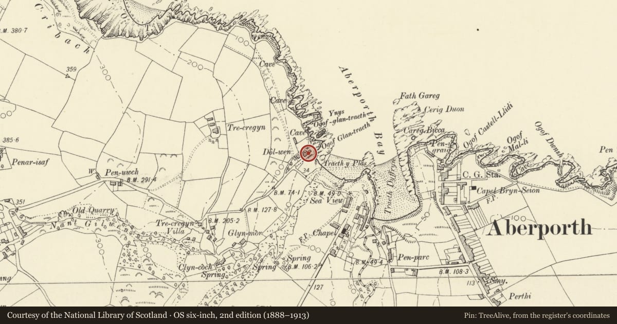 Ordnance Survey six-inch map, 2nd edition (1888–1913) covering the location of Dolewen, Aberporth, Ceredigion, with a pin at the register's coordinates