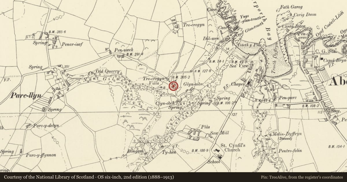 Ordnance Survey six-inch map, 2nd edition (1888–1913) covering the location of Ty Mawr, Aberporth, Ceredigion, with a pin at the register's coordinates