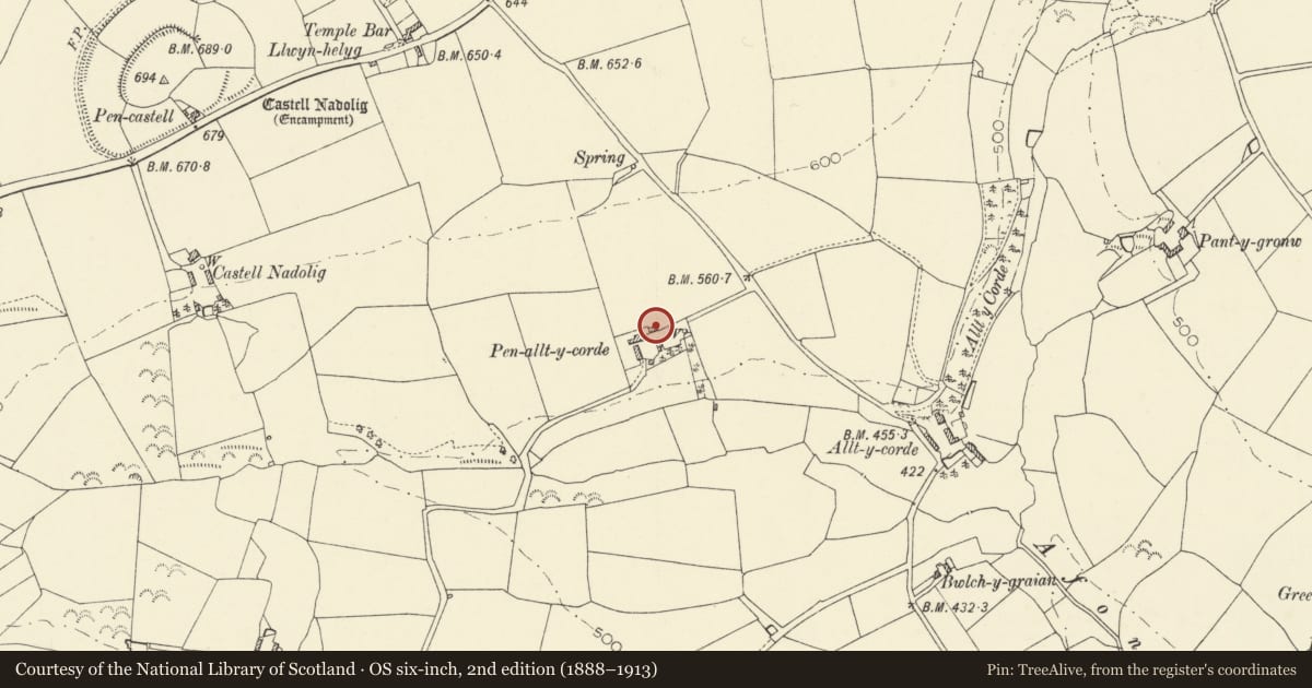 Ordnance Survey six-inch map, 2nd edition (1888–1913) covering the location of Penralltycordde, Penbryn, Ceredigion, with a pin at the register's coordinates