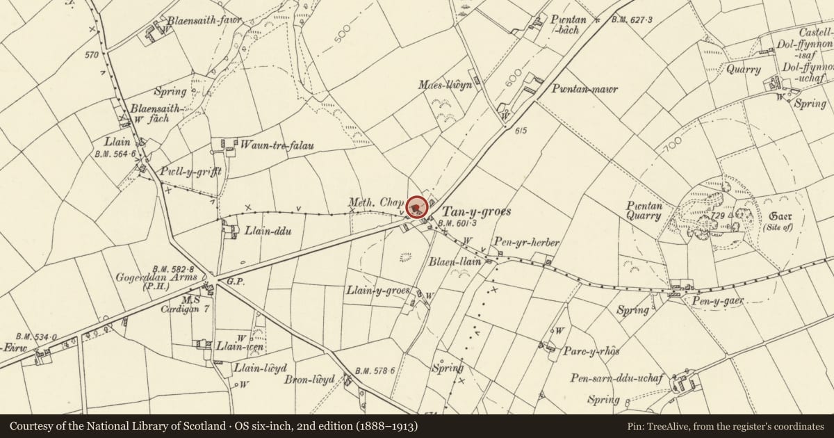 Ordnance Survey six-inch map, 2nd edition (1888–1913) covering the location of Tanygroes Calvinistic Methodist Chapel including Forecourt Walls and Railings, Penbryn, Ceredigion, with a pin at the register's coordinates