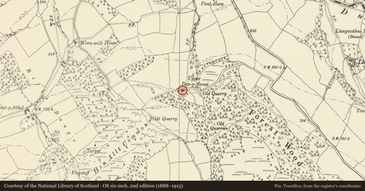 Ordnance Survey six-inch map, 2nd edition (1888–1913) covering the location of Upper Danyforest, Llanigon, Powys, with a pin at the register's coordinates