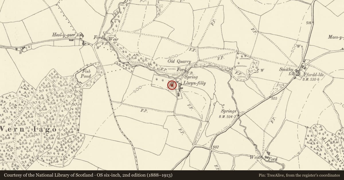 Ordnance Survey six-inch map, 2nd edition (1888–1913) covering the location of Llwynfilly, Llanigon, Powys, with a pin at the register's coordinates