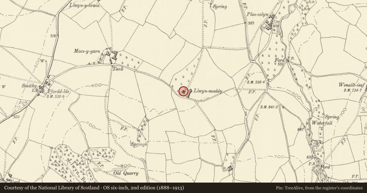 Ordnance Survey six-inch map, 2nd edition (1888–1913) covering the location of Llwynmaddy Farmhouse, Llanigon, Powys, with a pin at the register's coordinates