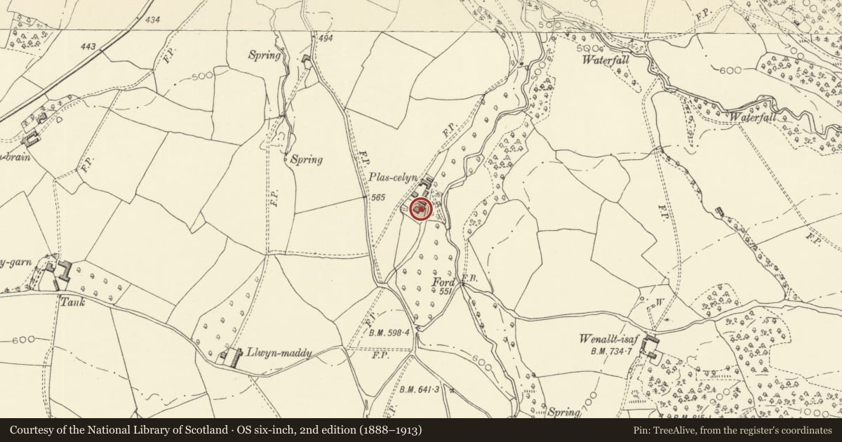 Ordnance Survey six-inch map, 2nd edition (1888–1913) covering the location of Plas Celyn, Llanigon, Powys, with a pin at the register's coordinates
