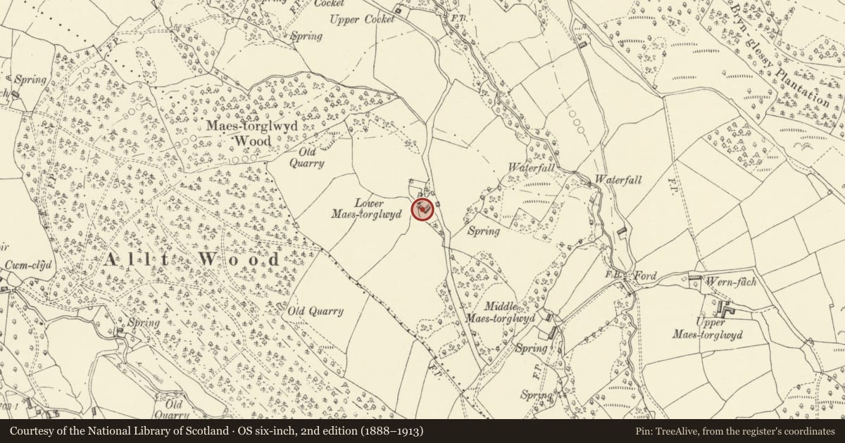 Ordnance Survey six-inch map, 2nd edition (1888–1913) covering the location of Cowshed at Lower Maestorglwydd, Llanigon, Powys, with a pin at the register's coordinates