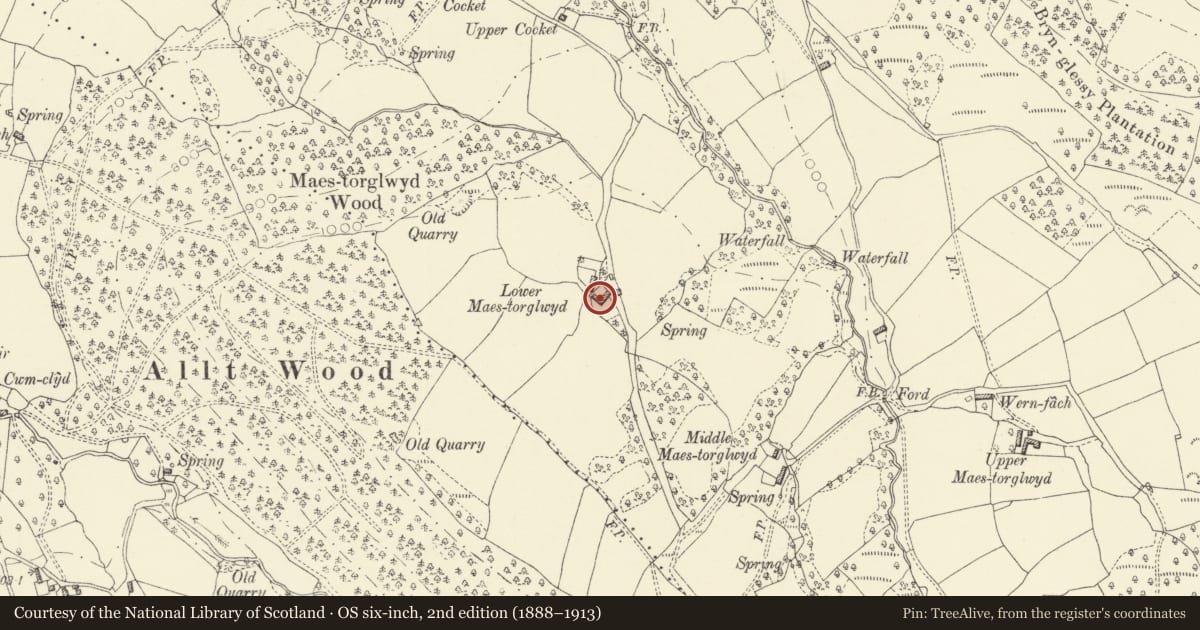 Ordnance Survey six-inch map, 2nd edition (1888–1913) covering the location of Barn at Lower Maestorglwydd, Llanigon, Powys, with a pin at the register's coordinates