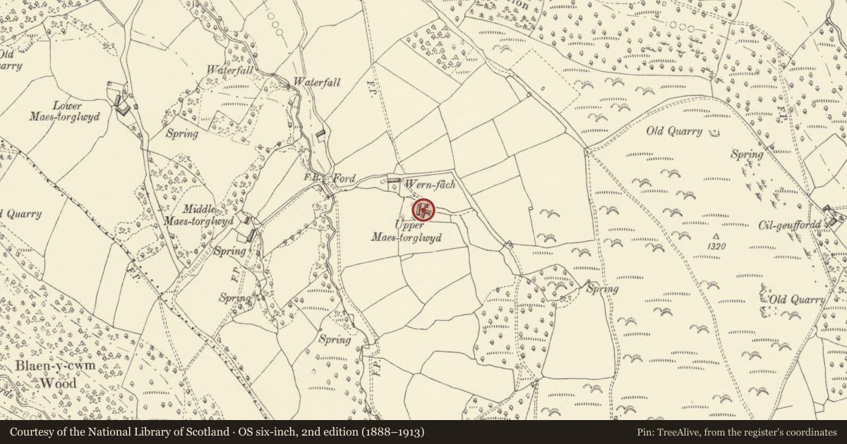 Ordnance Survey six-inch map, 2nd edition (1888–1913) covering the location of Upper Maestorglwydd Farmhouse, Llanigon, Powys, with a pin at the register's coordinates