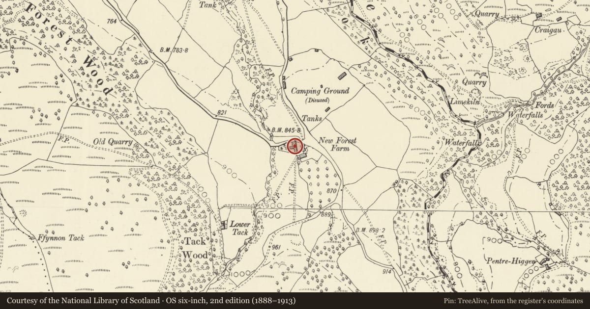 Ordnance Survey six-inch map, 2nd edition (1888–1913) covering the location of Farm Building to W of New Forest Farmhouse, Llanigon, Powys, with a pin at the register's coordinates