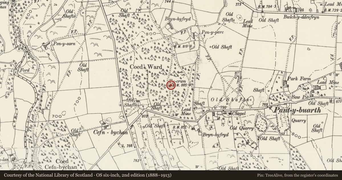 Ordnance Survey six-inch map, 2nd edition (1888–1913) covering the location of Tower Folly in Garden of Towerside (Including perimeter Wall), Gwernaffield with Pantmwyn, Flintshire, with a pin at the register's coordinates