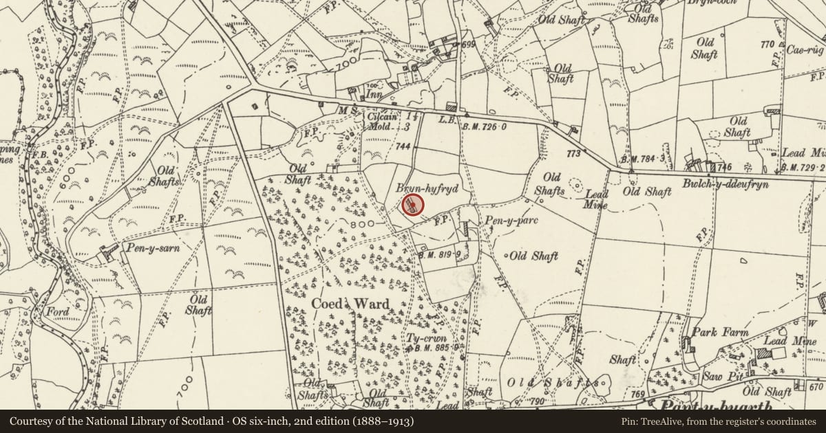 Ordnance Survey six-inch map, 2nd edition (1888–1913) covering the location of Bryn-Hyfryd Farmhouse (including attached Farmbuilding) FARMBUILDING), Gwernaffield with Pantmwyn, Flintshire, with a pin at the register's coordinates